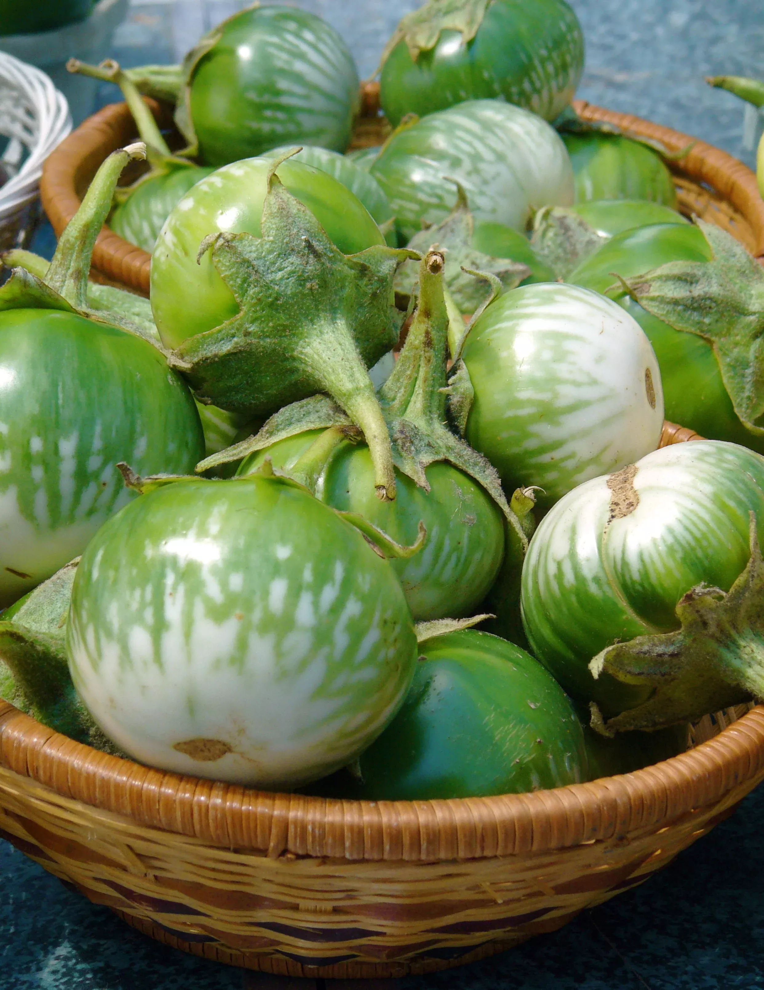 10-kermit-eggplant-green-white-thai-solanum-melongena-fruit-vegetable-seeds 10 KERMIT EGGPLANT Green White Thai Solanum Melongena Fruit Vegetable Seeds