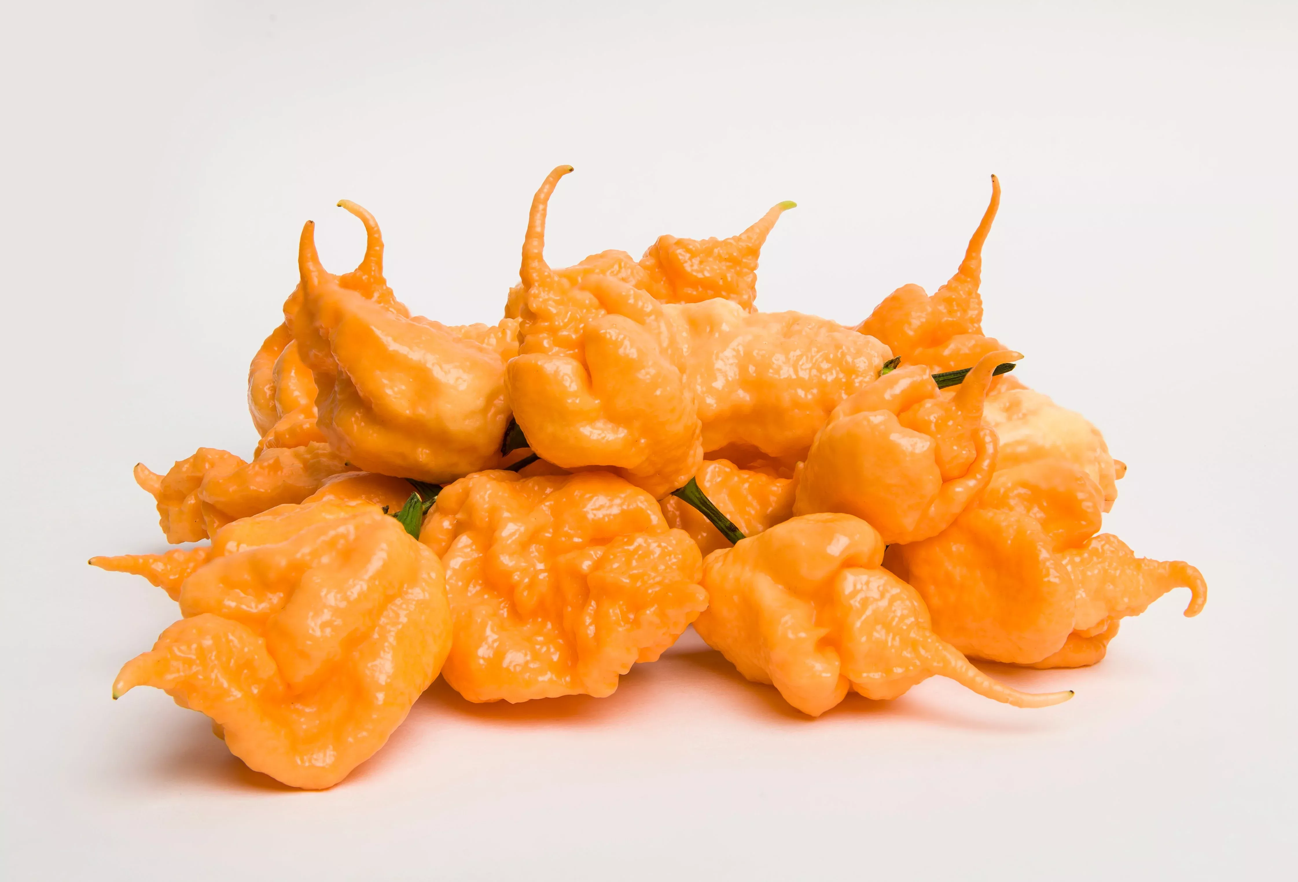 10-peach-carolina-reaper-pepper-world-s-hottest-capsicum-chinense-hot-chili-vege 10 Peach CAROLINA REAPER PEPPER World's Hottest Capsicum Chinense Hot Chili Vegetable Seeds