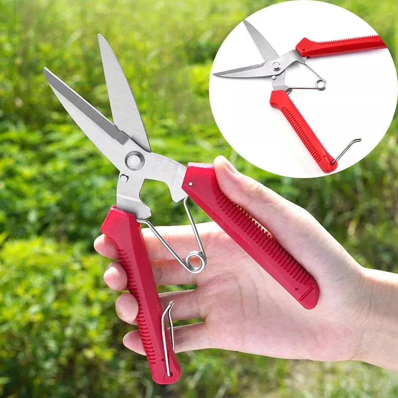 190mm-straight-head-pruning-shears-stainless-steel-garden-scissors 190mm Straight Head Pruning Shears | Stainless Steel Garden Scissors