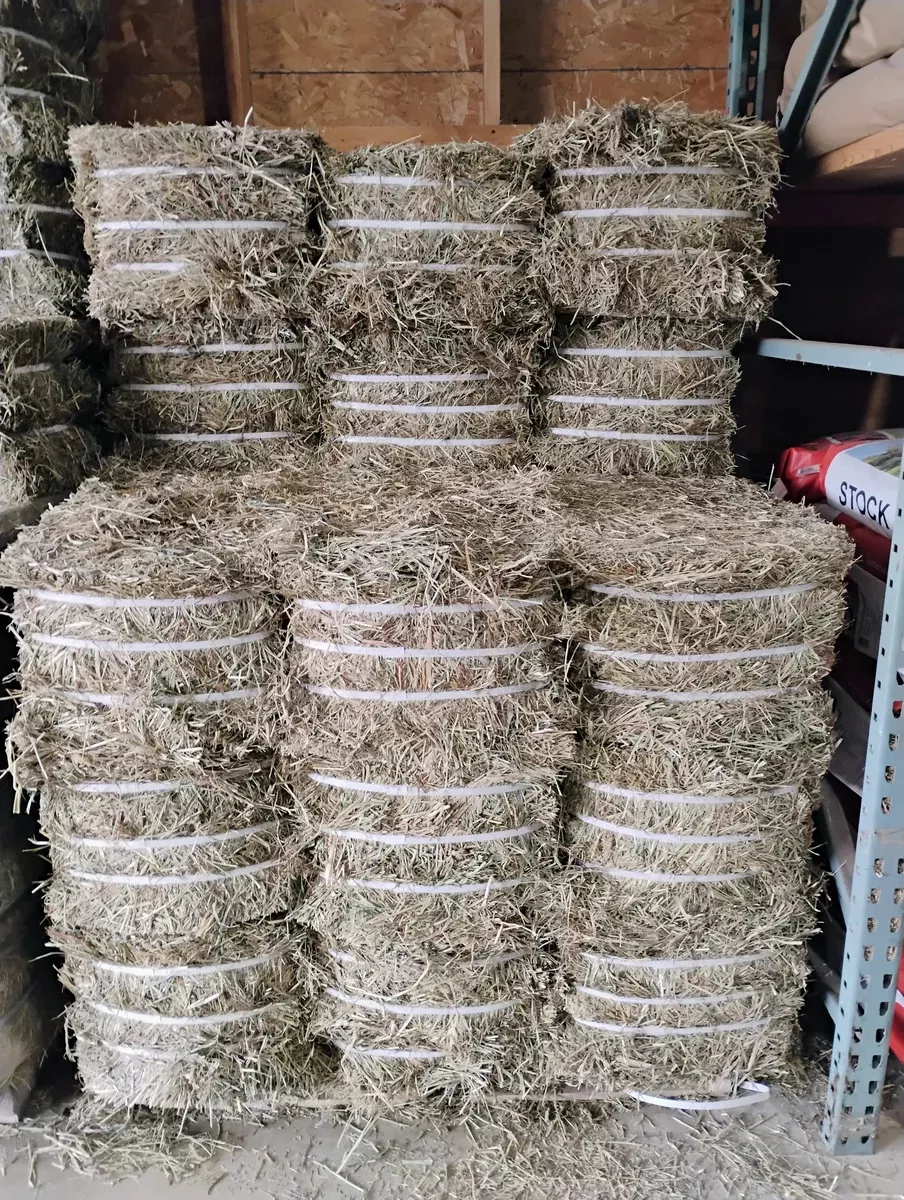 1st-cut-compressed-hay 1st Cut Compressed Hay