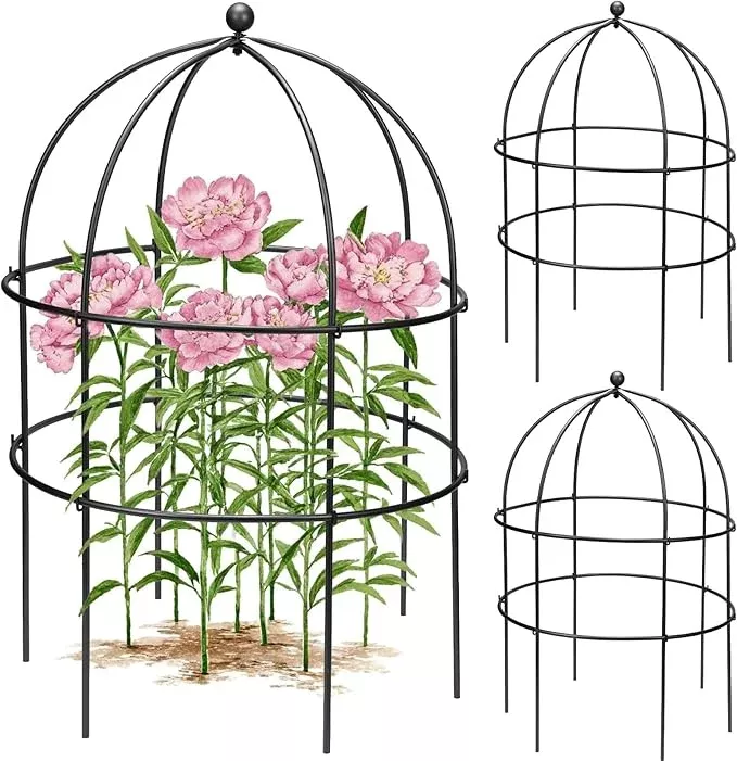 2-pcs-jardin-bird-cage-plant-support-24-h-large-sturdy-grow-through-flower-suppo 2 Pcs Jardin Bird Cage Plant Support 24" H Large Sturdy Grow-Through Flower Support Black Peony Plant Support Cage Climbing Plant Trellis Sculptural Garden Decor for Perennial Flowers Classic Black