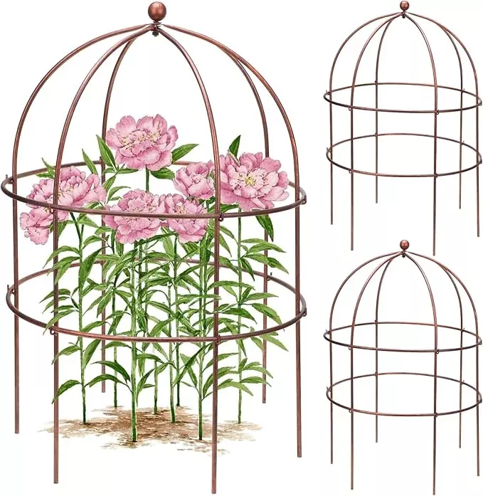 2-pcs-jardin-bird-cage-plant-support-25-h-large-sturdy-grow-through-flower-suppo 2 Pcs Jardin Bird Cage Plant Support 25" H Large Sturdy Grow-Through Flower Support Peony Cage Climbing Plant Support Trellis Sculptural Garden Decor for Perennial Flowers Vintage Gold