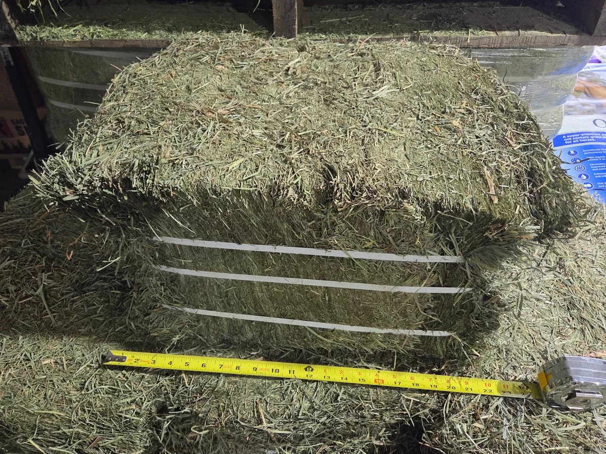 2nd-cut-compressed-hay 2nd Cut Compressed Hay