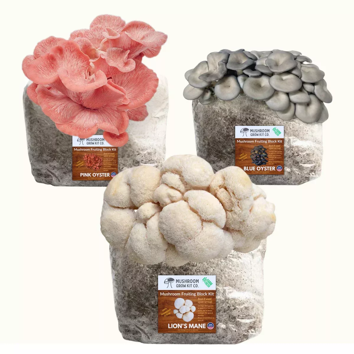 3-pack-premium-lion-s-mane-pink-blue-oyster-mushroom-fruiting-block-grow-kits-15 3 Pack - Premium Lion's Mane, Pink, and Blue Oyster Mushroom Fruiting Block Grow Kits - 15 LBS