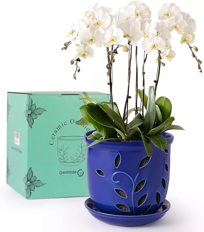 6-1-in-ceramic-orchid-pot-with-holes-saucers-large-orchid-planter-indoor-outdoor 6.1 in Ceramic Orchid Pot with Holes & Saucers, Large Orchid Planter for Indoor Outdoor Home Decor, Flower Plant Pot with Drainage for Repotting, Blue