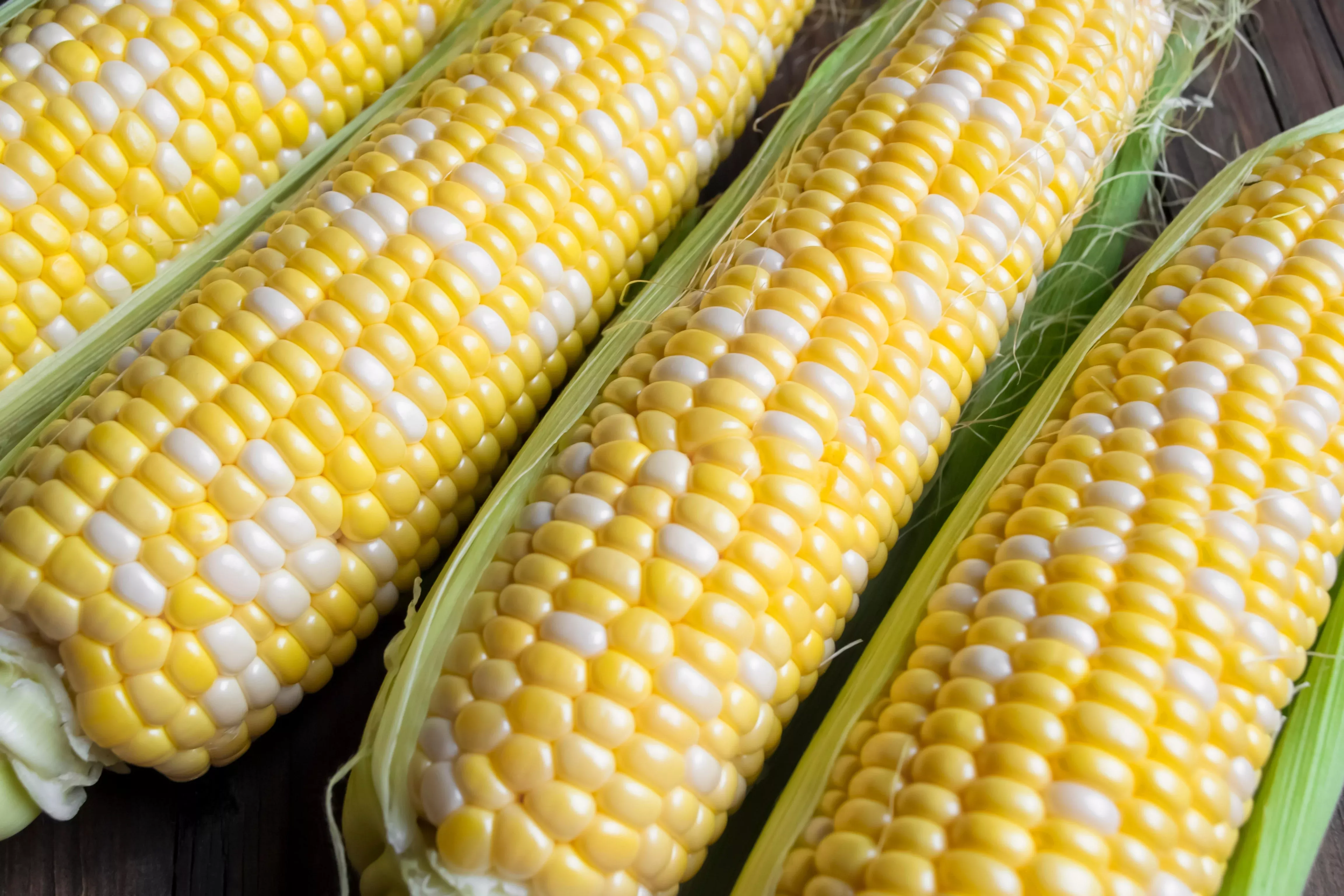 60-bicolor-corn-delectable-yellow-white-zea-mays-vegetable-seeds 60 BICOLOR CORN DELECTABLE Yellow & White Zea Mays Vegetable Seeds