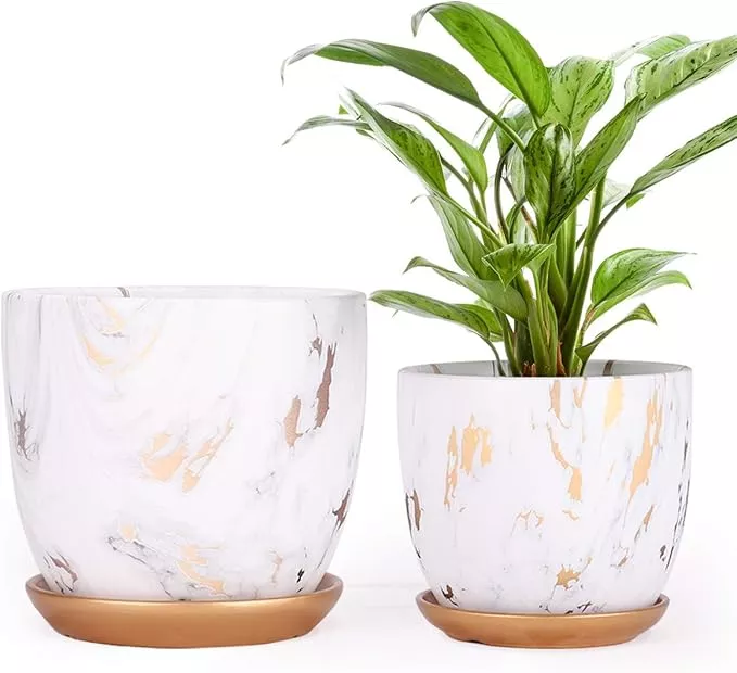 7-inch-ceramic-plant-pots-set-2-7-inch-5-5-inch-modern-flower-planter-gold-marbl 7 Inch Ceramic Plant pots (Set of 2), 7 Inch 5.5 Inch Modern Flower Planter, Gold Marble Gardening Pots with Drainage Hole and Saucer for Outdoor Indoor Yard Garden Home Office Decoration.