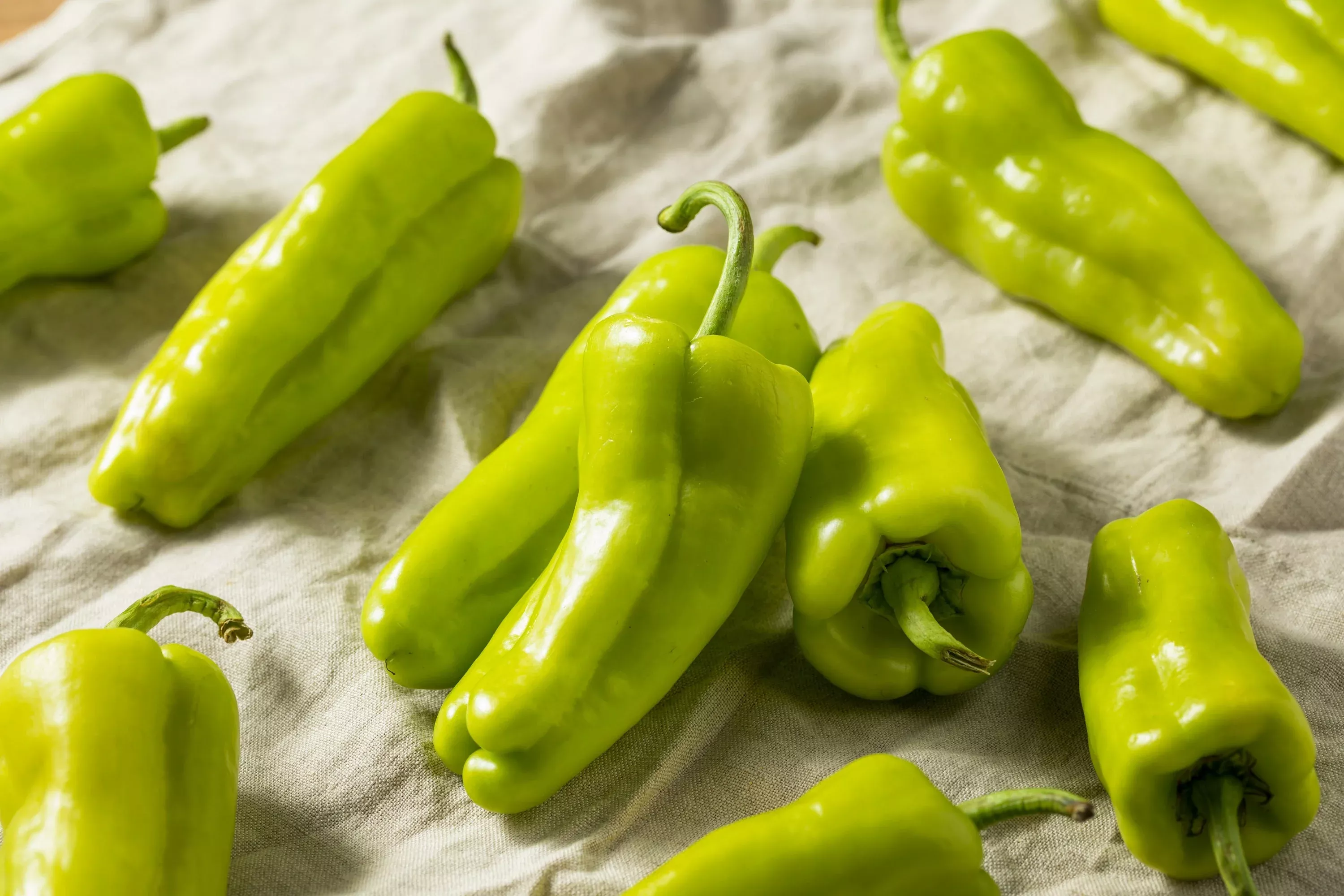75-cubanelle-pepper-italian-sweets-banana-pepper-italian-frying-pepper-capsicum- 75 CUBANELLE PEPPER (Italian Sweets / Banana Pepper / Italian Frying Pepper) Capsicum Annuum Vegetable Seeds