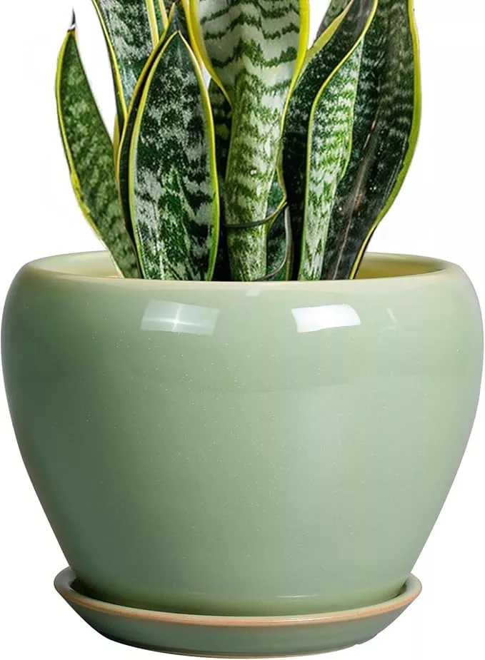 8-inch-plant-pot-ceramic-planter-outdoor-plants-indoor-plant-pot-with-drainage-h 8 Inch Plant Pot - Ceramic Planter for Outdoor Plants Indoor Plant Pot with Drainage Hole and Saucer Mid-Century Round Planter Flower Pot for House Garden Green