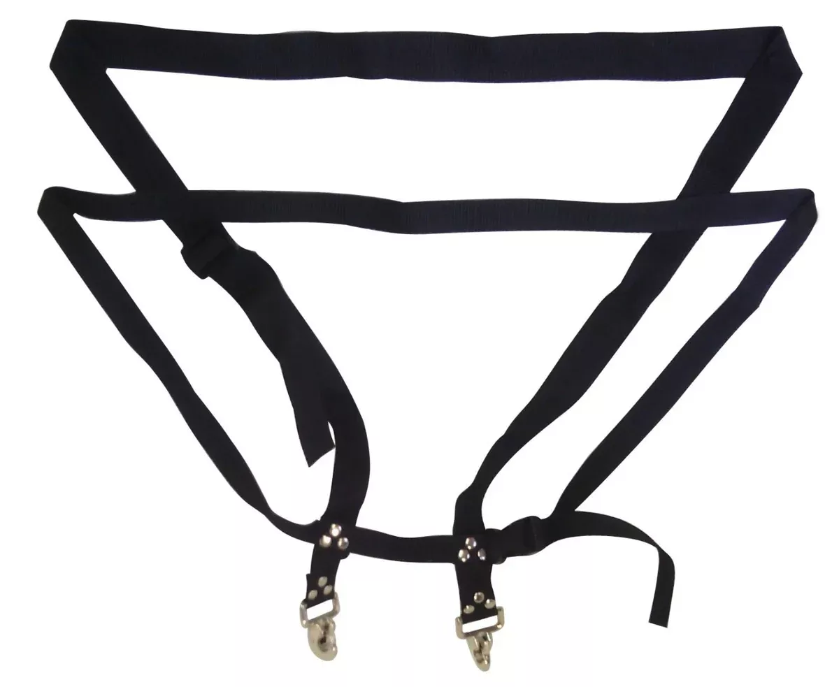 blueberry-harness-blueberries-raspberries-beans-etc Blueberry harness for blueberries, raspberries, beans, etc.