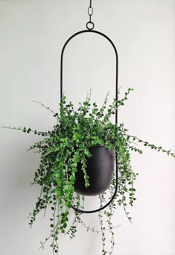 boho-black-metal-plant-hanger-metal-wall-ceiling-hanging-planter-modern-planter- Boho Black Metal Plant Hanger,Metal Wall and Ceiling Hanging Planter, Modern Planter, Mid Century Flower Pot Plant Holder, Minimalist Planter for Indoor Outdoor Home Decor