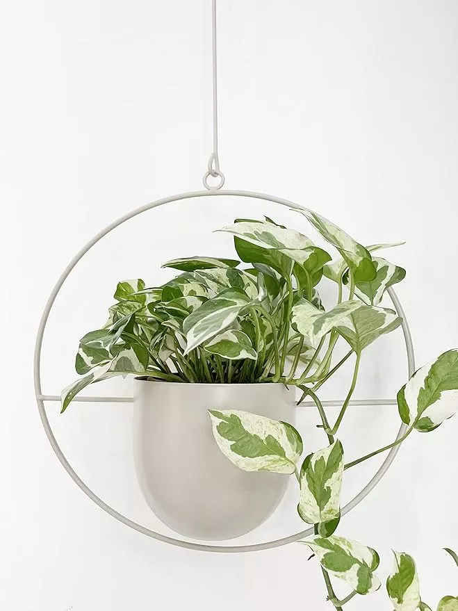 boho-white-metal-plant-hanger-metal-wall-ceiling-hanging-planter-modern-planter- Boho White Metal Plant Hanger,Metal Wall and Ceiling Hanging Planter, Modern Planter, Mid Century Flower Pot Plant Holder, Minimalist Planter for Indoor Outdoor Home Decor…