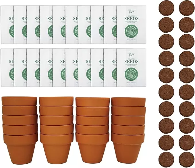 buzzy-seeds-spruce-terracotta-mini-grow-pots-tree-starter-kit-kids-adults-bulk-2 BUZZY Seeds Spruce Terracotta Mini Grow Pots | Tree Starter Kit for Kids & Adults | Bulk 20-Pack | Guaranteed to Grow | Best Indoor Grow Your Own Gardening Gift | Craft & Classroom Projects