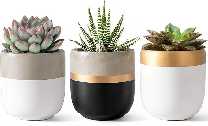 dahey-3-pack-small-cement-succulent-planter-pots-4-inch-modern-mini-concrete-flo Dahey 3 Pack Small Cement Succulent Planter Pots 4 Inch Modern Mini Concrete Flower Pots Indoor Outdoor for Cactus Herb or Small Plants Home Decor