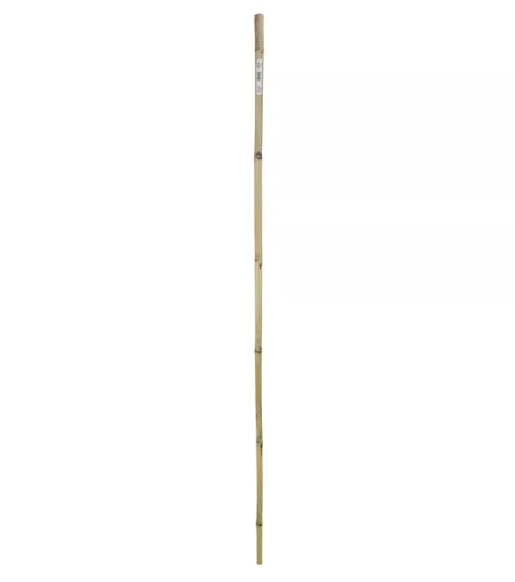 gardener-s-blue-ribbon-6-super-bamboo-plant-stakes Gardener’s Blue Ribbon, 6' Super Bamboo Plant Stakes
