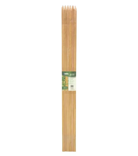 Gardener's Blue Ribbon, Wood Stakes, 6 pk