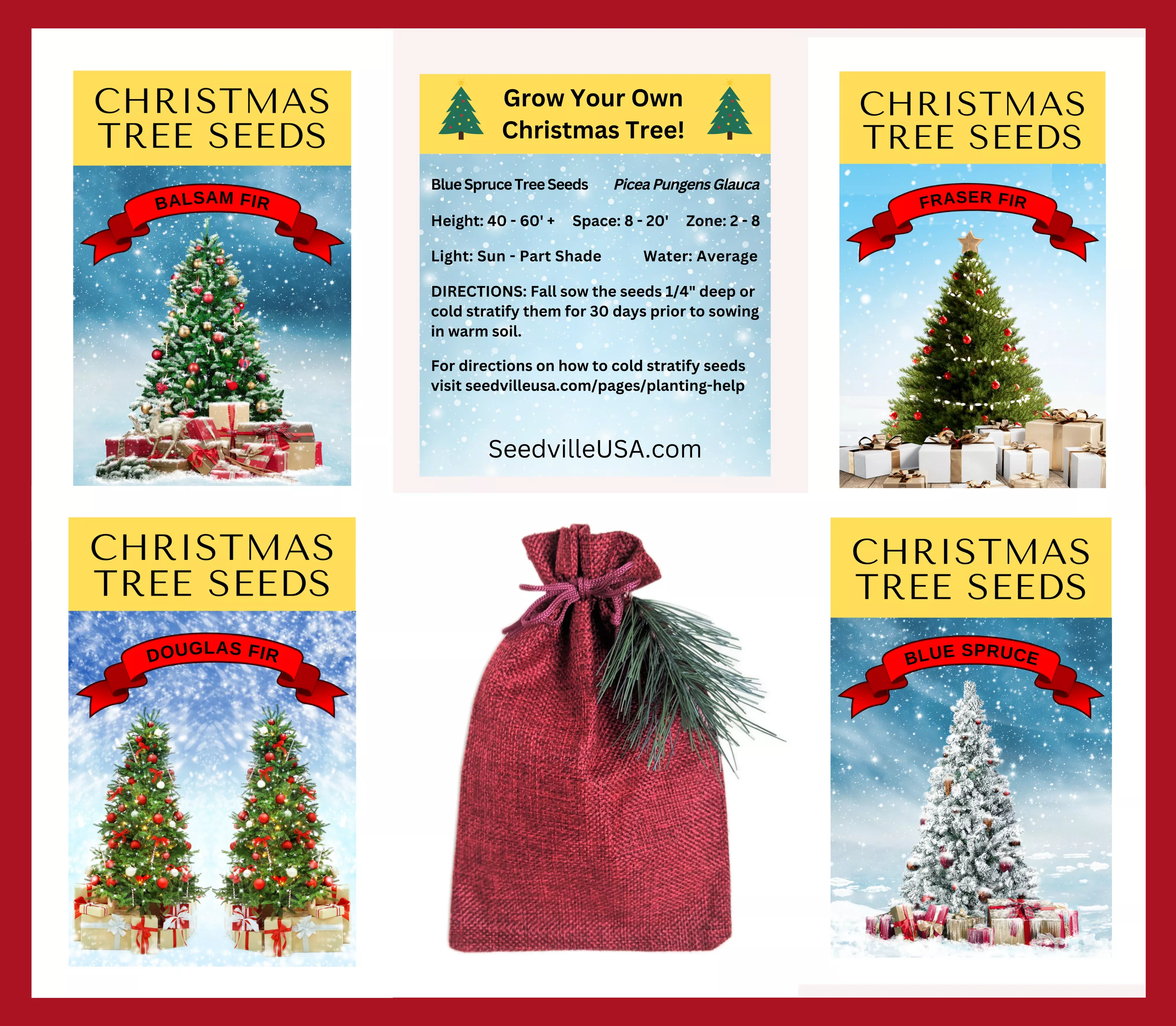 grow-your-own-christmas-tree-collection-4-gift-packets-tree-seeds-fraser-fir-bal Grow Your Own CHRISTMAS TREE COLLECTION - 4 Gift Packets of Tree Seeds - Fraser Fir, Balsam Fir, Douglas Fir, & Blue Spruce + Free Gift Bag