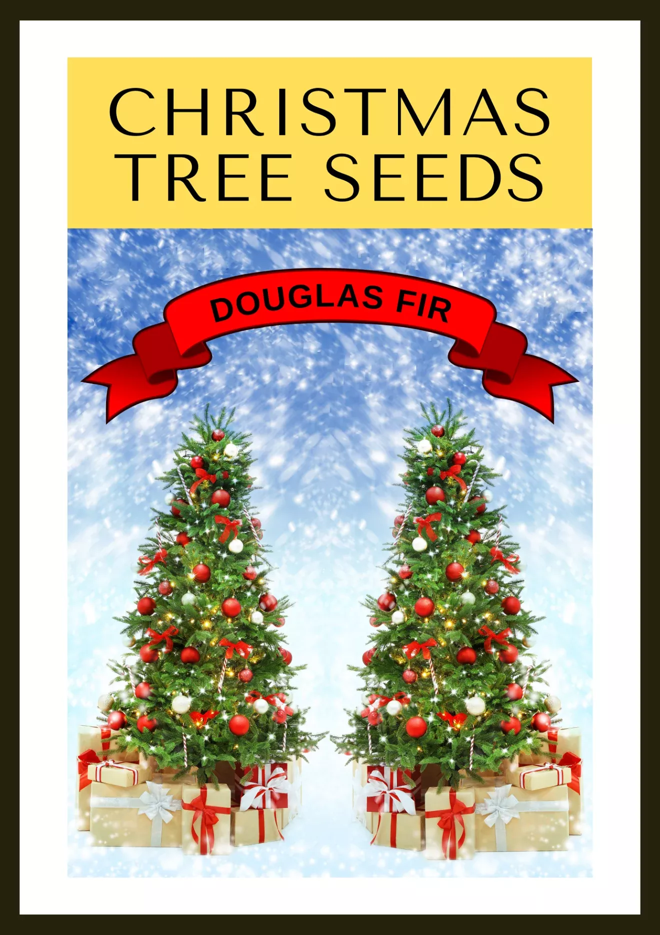 grow-your-own-christmas-tree-douglas-fir-pseudotsuga-menziesii-gift-packet-tree- Grow Your Own CHRISTMAS TREE - Douglas Fir ( Pseudotsuga Menziesii ) Gift Packet of Tree Seeds