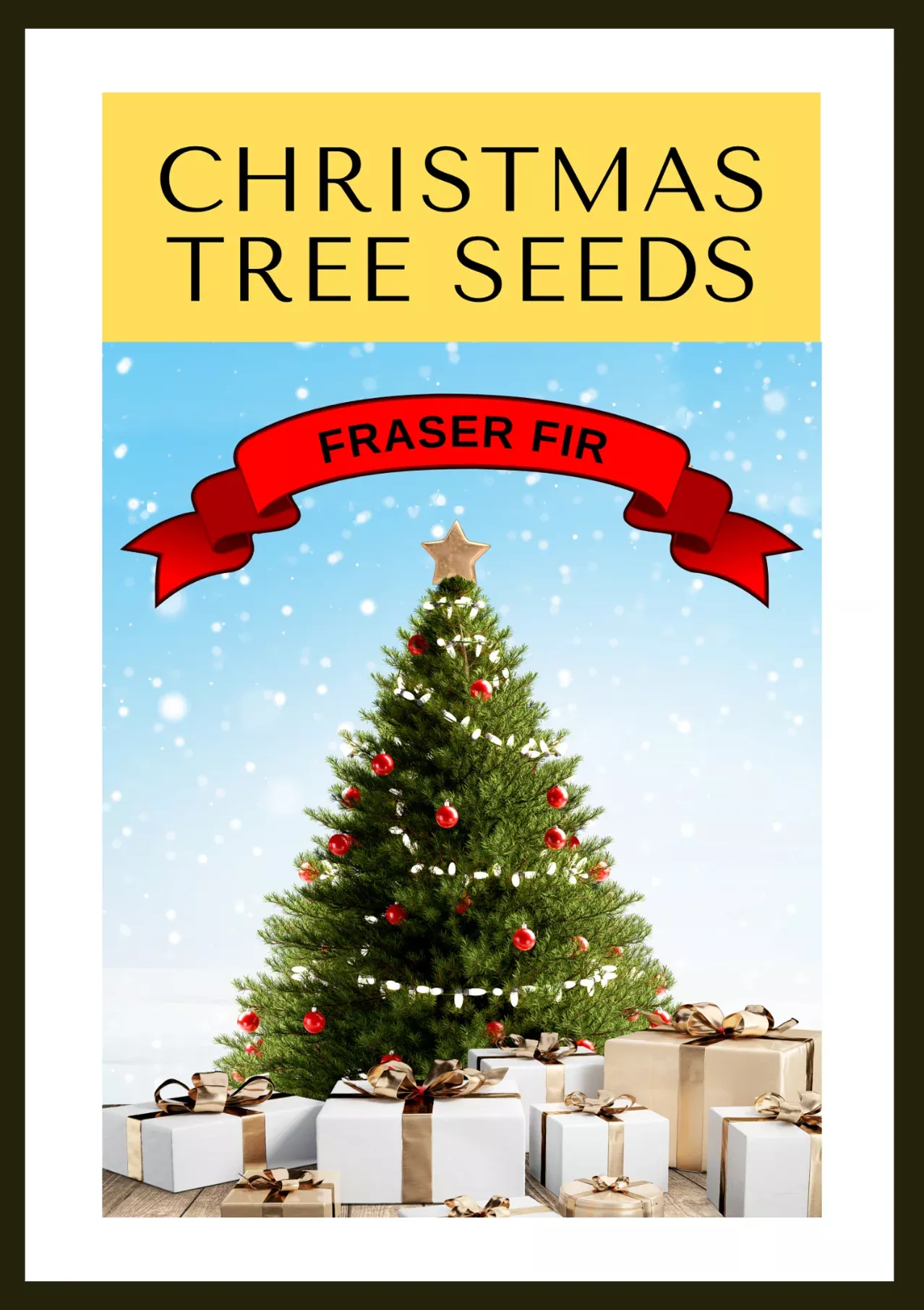 grow-your-own-christmas-tree-fraser-fir-abies-fraseri-gift-packet-tree-seeds Grow Your Own CHRISTMAS TREE - Fraser Fir ( Abies Fraseri ) Gift Packet of Tree Seeds