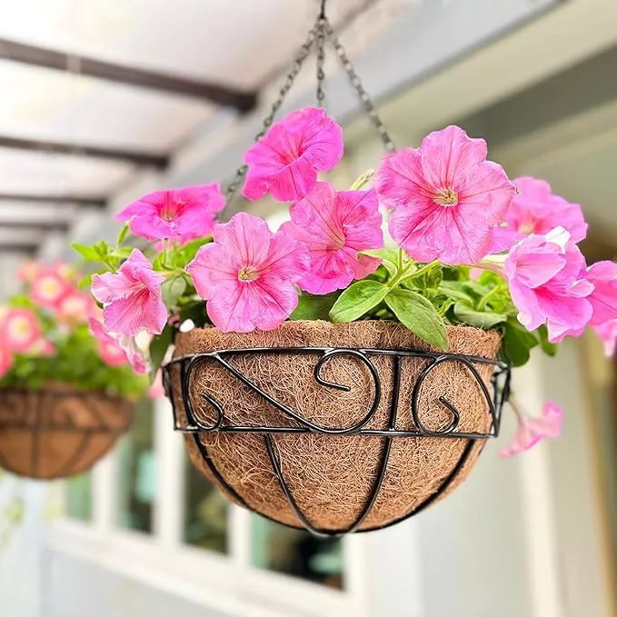 lalagreen-hanging-planter-outdoor-plants-6-pack-10-inch-hanging-baskets-with-coc LaLaGreen Hanging Planter for Outdoor Plants (6 Pack, 10 Inch) Hanging Baskets with Coco Liner, Metal Wire Flower Basket Pots with Hook Hanger Balcony Porch Farmhouse Country Style Garden Decor