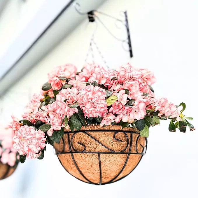 lalagreen-hanging-planter-outdoor-plants-6-pack-16-inch-hanging-baskets-with-coc LaLaGreen Hanging Planter for Outdoor Plants (6 Pack, 16 Inch) Hanging Baskets with Coco Liner, Metal Wire Flower Basket Pots with Hook Hanger Balcony Porch Farmhouse Country Style Garden Decor