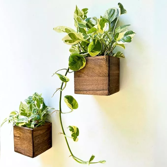 lalagreen-wood-planter-box-plants-2-pack-4x4-inch-small-square-wall-planters-ind LaLaGreen Wood Planter Box for Plants (2 Pack, 4x4 Inch) Small Square Wall Planters for Indoor Plant, Window Hanging Flower Pot Wooden Boxes for Table Centerpiece Herb Balcony Home Garden Office Decor