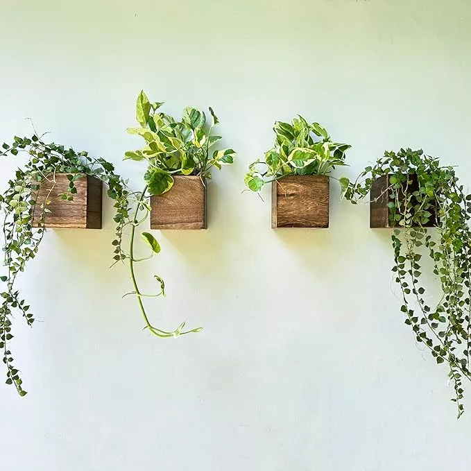 lalagreen-wood-planter-boxes-4-pack-4x4-inch-small-square-wooden-wall-mounted-fl LaLaGreen Wood Planter Boxes (4 Pack, 4x4 Inch) Small Square Wooden Wall Mounted Flower Pot for Indoor Plants, Window Box Mount Hanging Herb Planters Outdoor Plant Holder Vertical Garden Home Decor