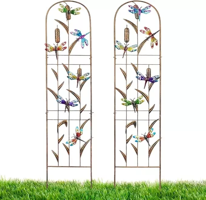 lewis-wayne-2-pack-metal-garden-trellis-with-colorful-dragonfly-60-inch-high-out LEWIS&WAYNE 2 Pack Metal Garden Trellis with Colorful Dragonfly 60 Inch High Outdoor Decoration Arched Fence Trellis for Climbing Plants for Patio, Lawn, Yard, Backyard, Wall Brackets