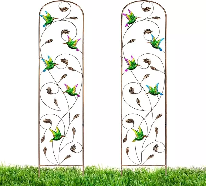 lewis-wayne-2-pack-metal-garden-trellis-with-colorful-hummingbird-60-inch-high-o LEWIS&WAYNE 2 Pack Metal Garden Trellis with Colorful Hummingbird 60 Inch High Outdoor Decoration Arched Fence Trellis for Climbing Plants for Patio, Lawn, Yard, Backyard, Wall Brackets