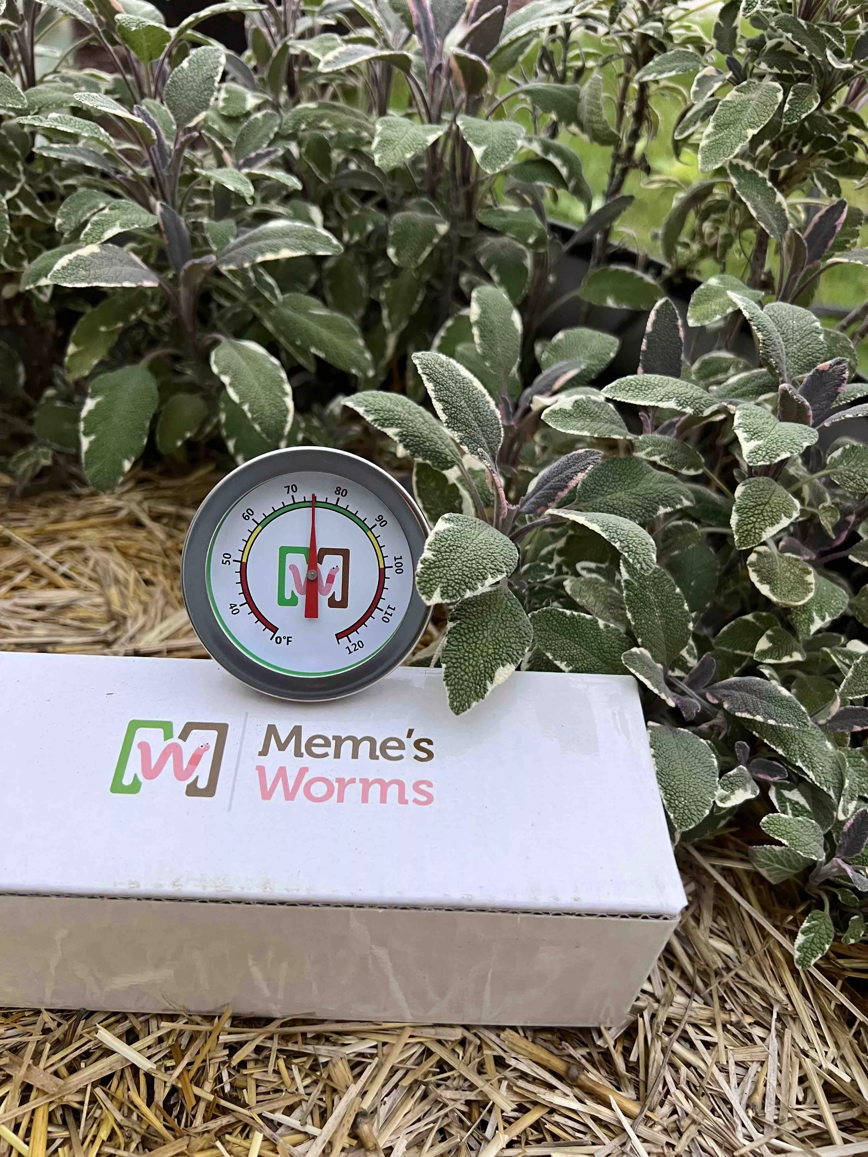 meme-s-worm-thermometer-sc Meme's Worm Thermometer (SC)