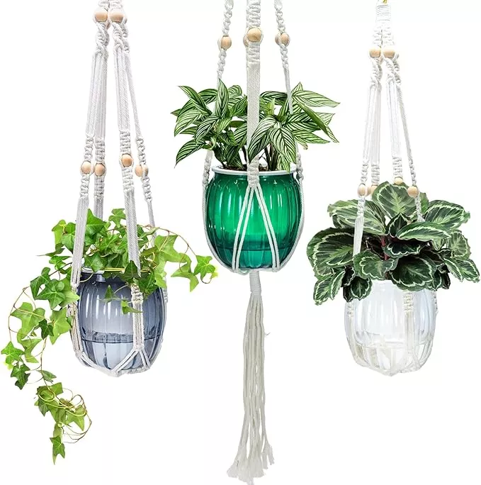 small-hanging-planters-self-watering-5-inch-3-set-hanging-plant-pot-indoor-outdo Small Hanging Planters Self Watering 5 Inch, 3 Set Hanging Plant Pot for Indoor Outdoor Plants, Hanging Flower Pots with Drainage Hole & 2 Kinds of Plant Hangers for Garden Home Decor