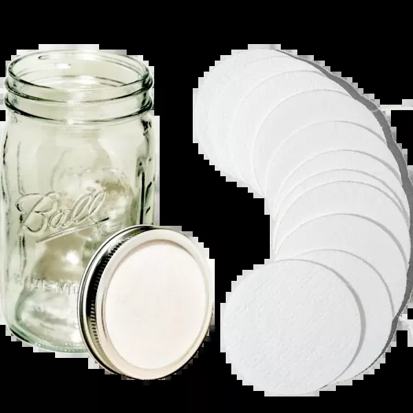synthetic-jar-lid-filters-10-ct Synthetic Jar Lid Filters - 10 CT