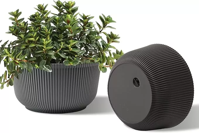 t4u-8-inch-plant-pots-2-pack-self-watering-planter-with-drainage-hole-shallow-pl T4U 8 Inch Plant Pots, 2 Pack Self Watering Planter with Drainage Hole, Shallow Plant Pot Indoor, Home Decor Flower Pots for Plants, Cactus, Garden, Gray