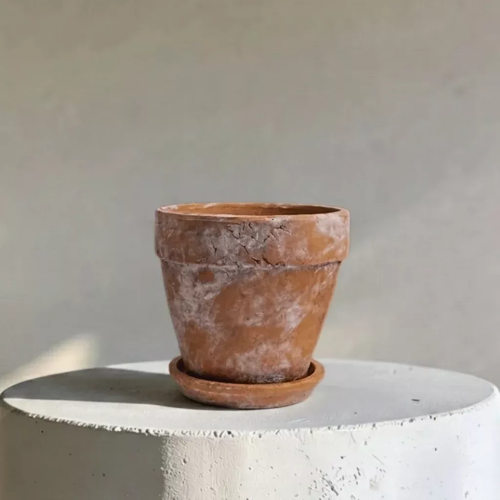 venice-cement-planter-with-dish-drainage-hole-handcrafted-in-aged-terracotta-lar Venice Cement Planter with Dish and Drainage Hole, Handcrafted in Aged Terracotta, Large & Medium