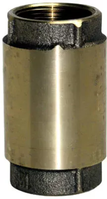 Water Source Check Valve, Brass, 1-In.
