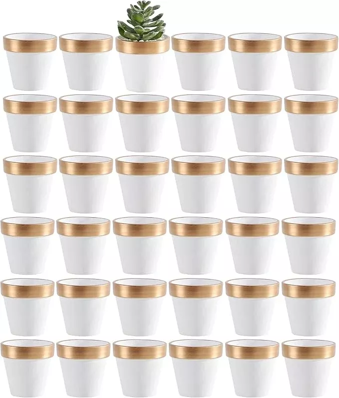 Yishang 36 pcs Small Mini White&Gold Clay Pots, 2.5'' Terracotta Pot Clay Ceramic Pottery Planter,Cactus Flower Terra Cotta Pots,Succulents Nursery Pots,with Drainage Hole, for Crafts,Wedding Favor