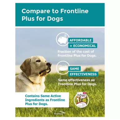 zoguard-plus-flea-tick-treatment-dogs ZoGuard Plus Flea & Tick Treatment for Dogs