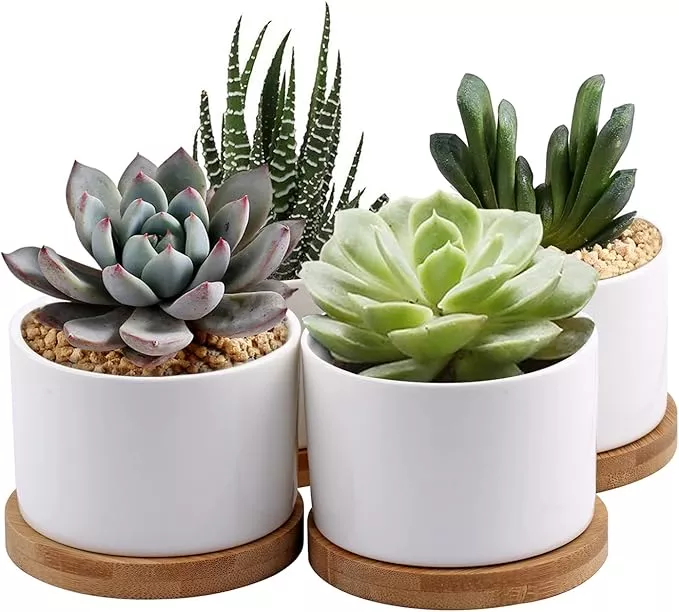 zoutog-succulent-planter-white-mini-3-15-inch-ceramic-flower-planter-pot-with-ba ZOUTOG Succulent Planter, White Mini 3.15 inch Ceramic Flower Planter Pot with Bamboo Tray, Pack of 4 - Plants Not Included